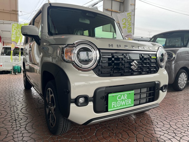 Suzuki Hustler 1