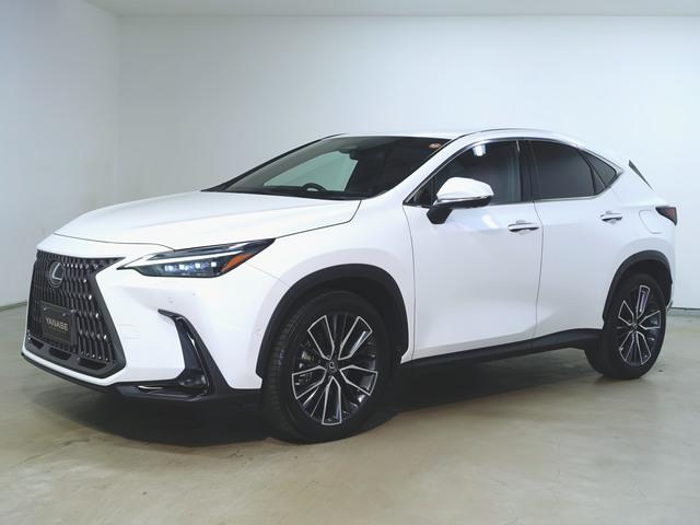 Lexus NX 1