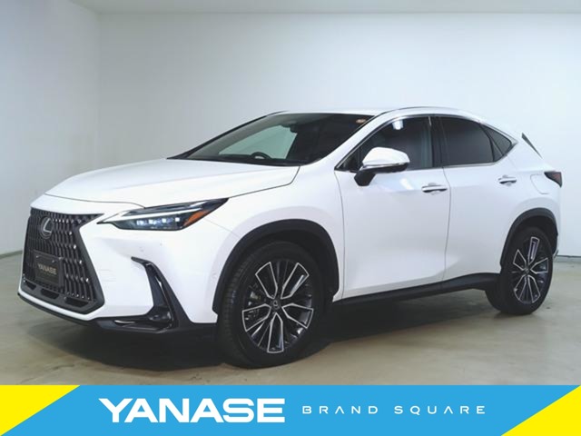 Lexus NX 2