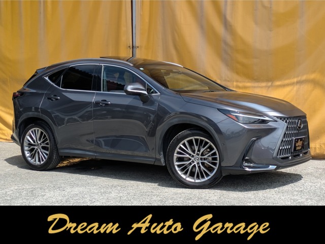 Lexus NX 1