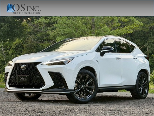 Lexus NX 1
