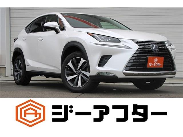 2019 Lexus NX