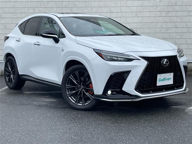 Lexus NX 1