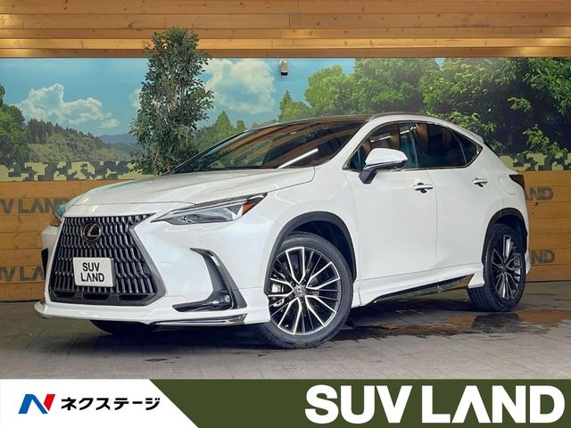 Lexus NX 1