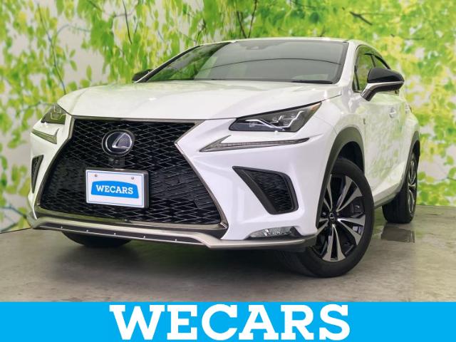 2019 Lexus NX