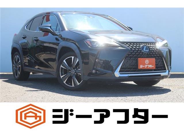 Lexus UX 1