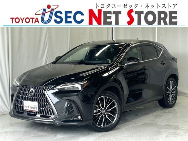 Lexus NX 1