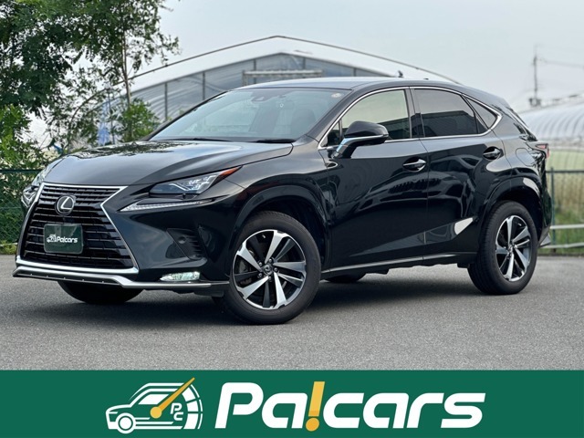 2020 Lexus NX