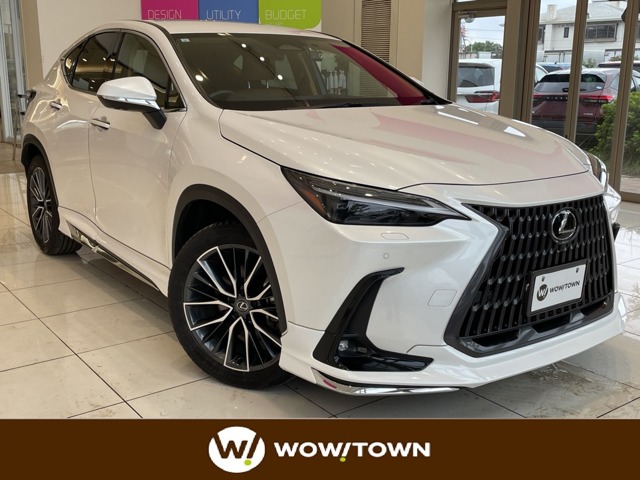 Lexus NX 1