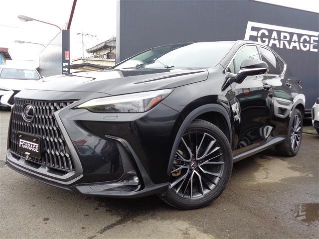 2023 Lexus NX
