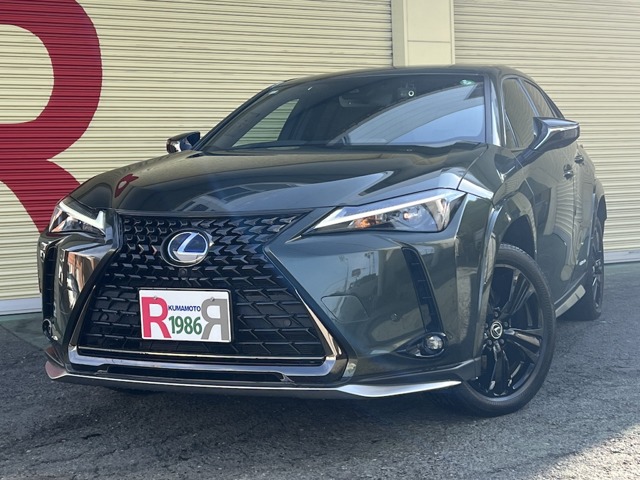 2021 Lexus UX
