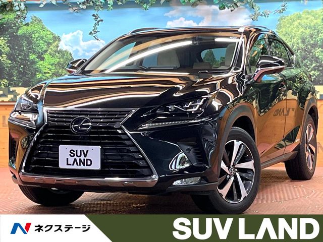 2018 Lexus NX