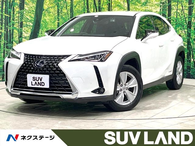 2021 Lexus UX