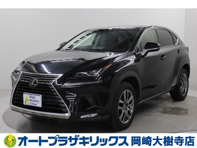 Lexus NX 1