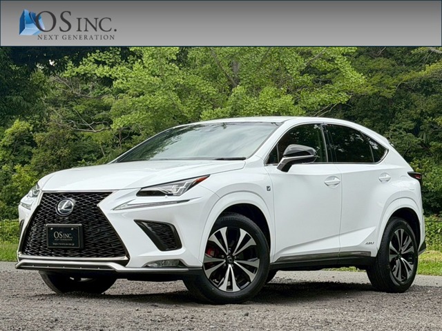 Lexus NX 1