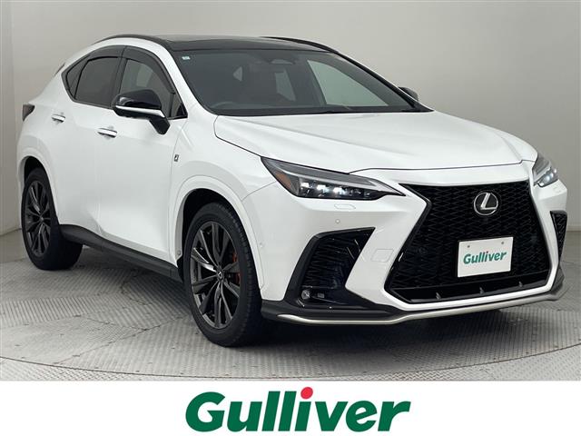 Lexus NX 1