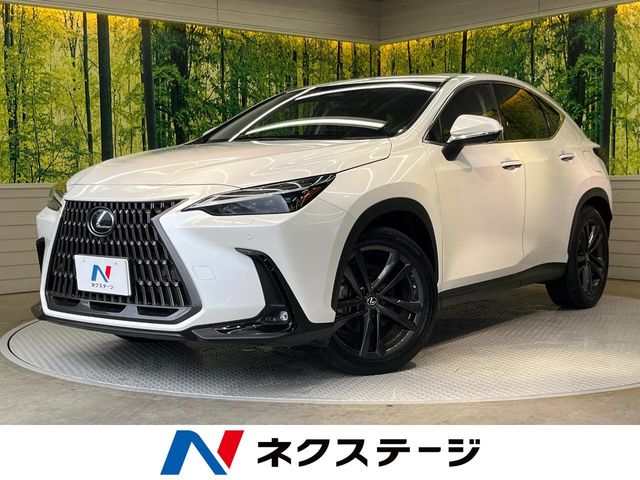 Lexus NX 1