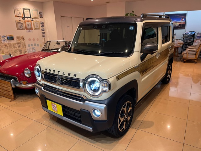 Suzuki Hustler 1