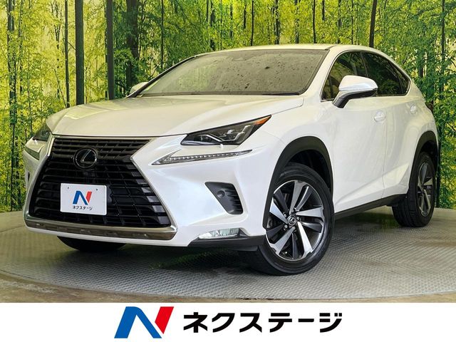Lexus NX 1