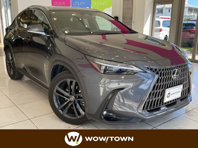 2022 Lexus NX