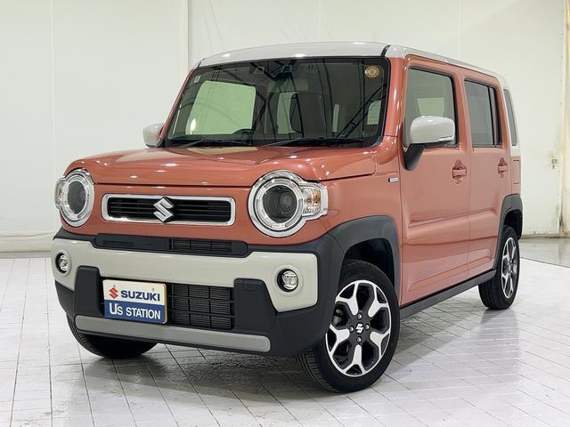 Suzuki Hustler 1