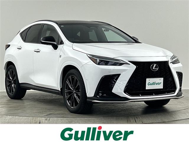 2021 Lexus NX