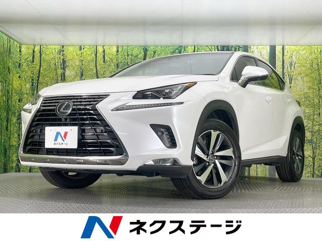 Lexus NX 1