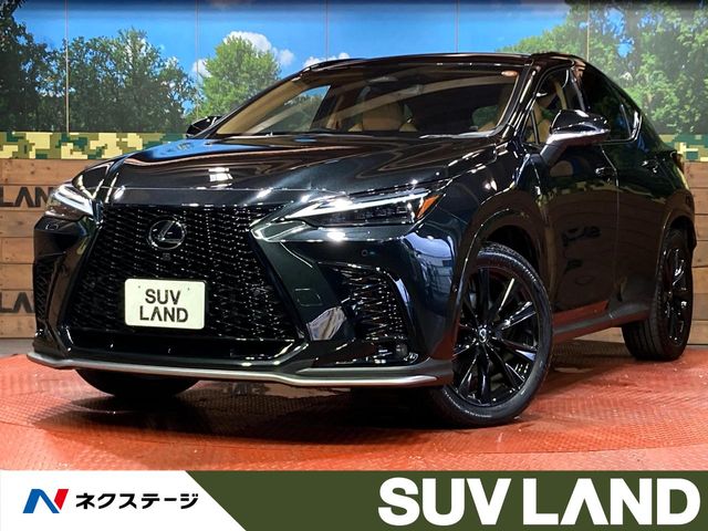 Lexus NX 1