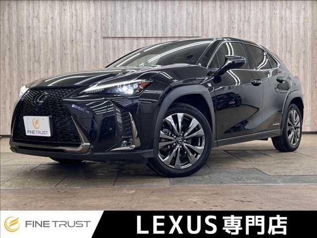 Lexus UX 1