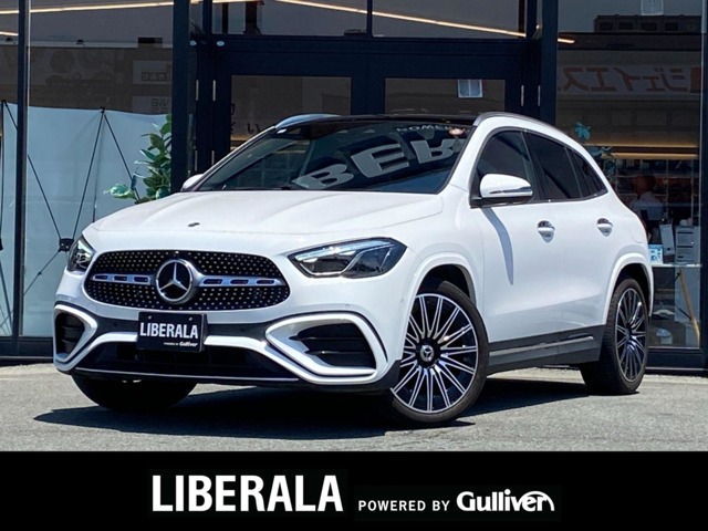 Mercedes-Benz GLA-Class 1