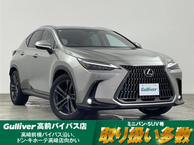 Lexus NX 1