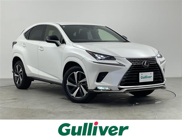 Lexus NX 1