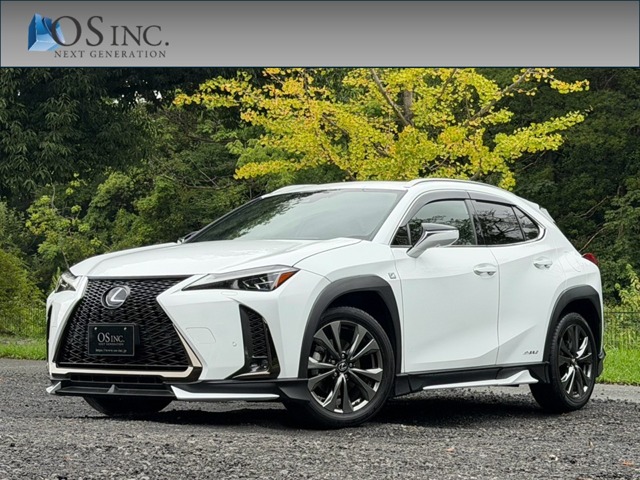 2019 Lexus UX