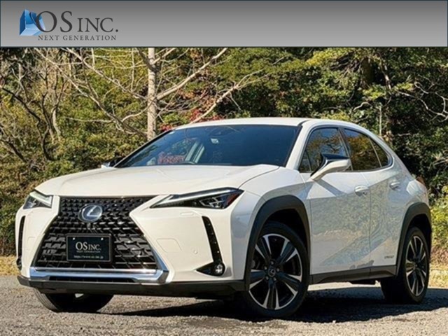 2021 Lexus UX