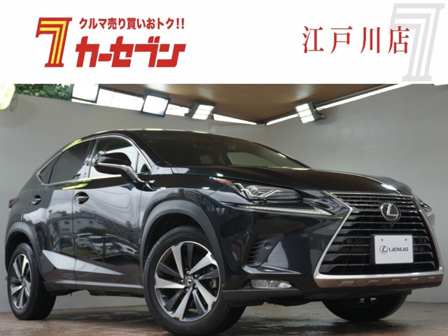2018 Lexus NX