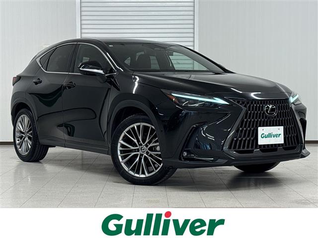 Lexus NX 1