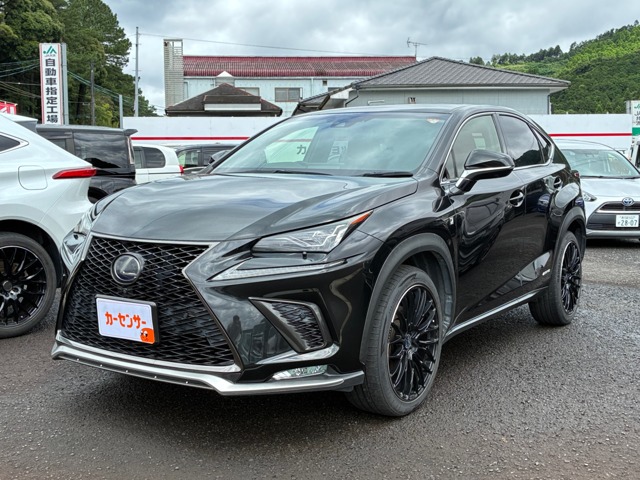 Lexus NX 1