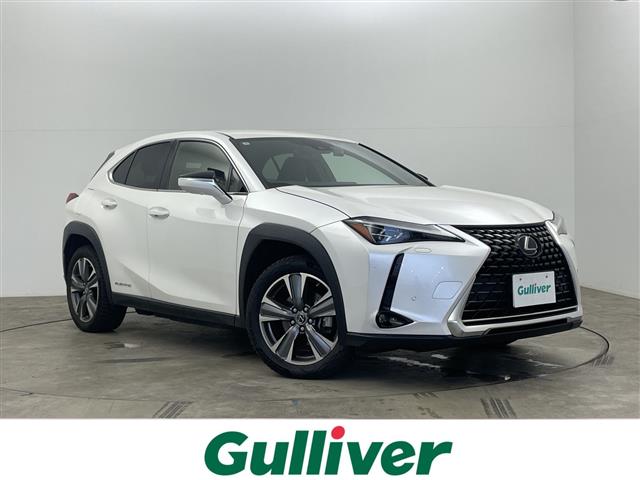Lexus UX300e 1