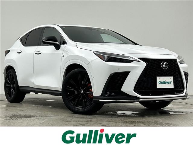 2021 Lexus NX