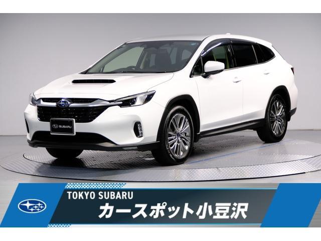 2025 Subaru Levorg Layback