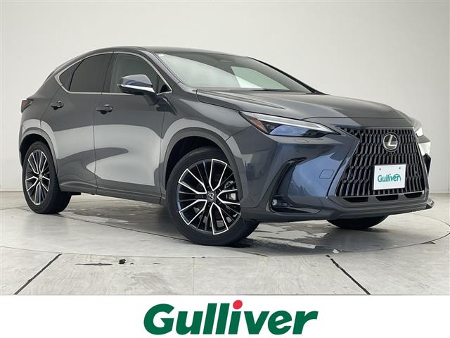 2024 Lexus NX