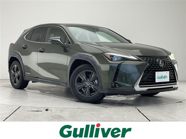 2019 Lexus UX
