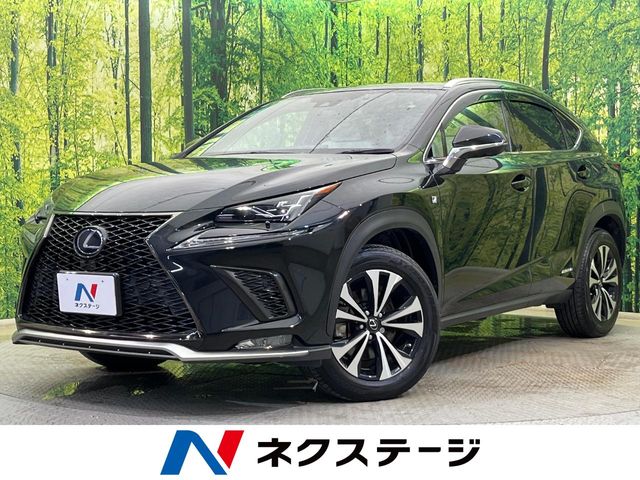 2019 Lexus NX
