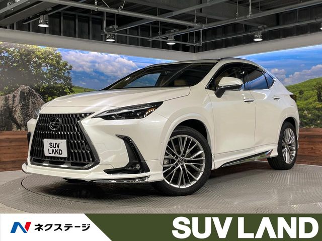 2024 Lexus NX