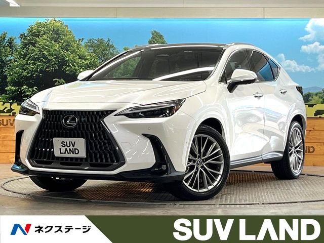 2025 Lexus NX