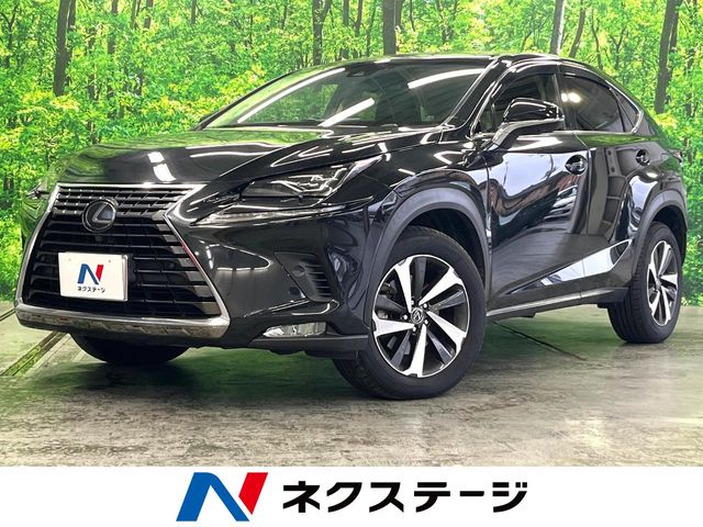 Lexus NX 1