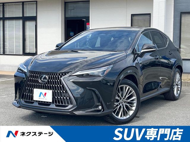 Lexus NX 1