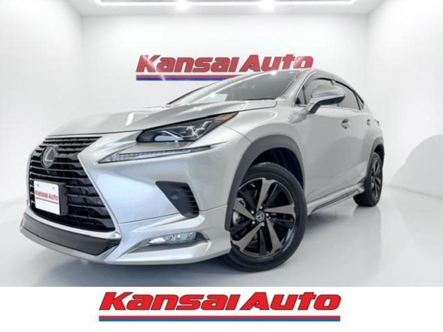 2019 Lexus NX