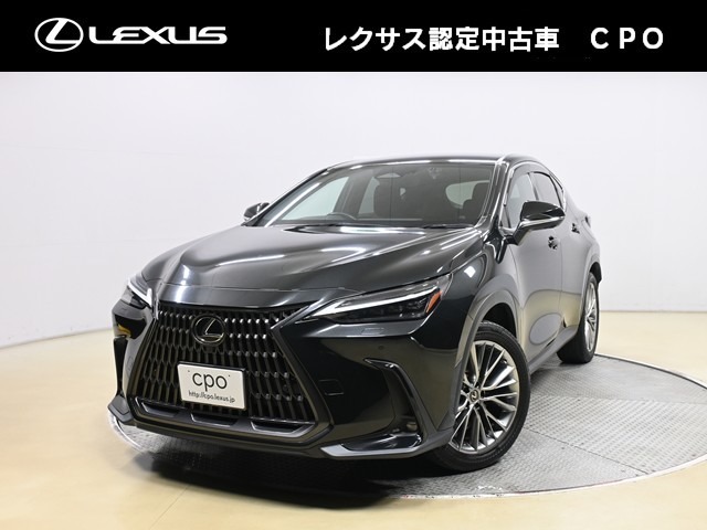 Lexus NX 1