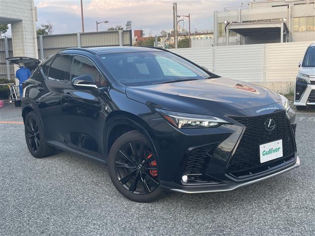 Lexus NX 1